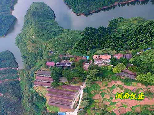湖南湘西牧業(yè)有限公司全景圖
