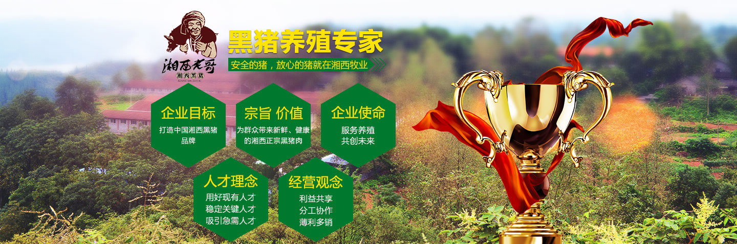 湖南湘西牧業(yè)有限公司-湖南省牧業(yè)|湖南省湘西黑豬養(yǎng)殖場(chǎng)|湖南黑豬種豬