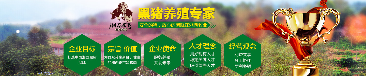 湖南湘西牧業(yè)有限公司-湖南省牧業(yè)|湖南省湘西黑豬養(yǎng)殖場|湖南黑豬種豬
